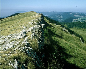 Les cr�tes du Jura